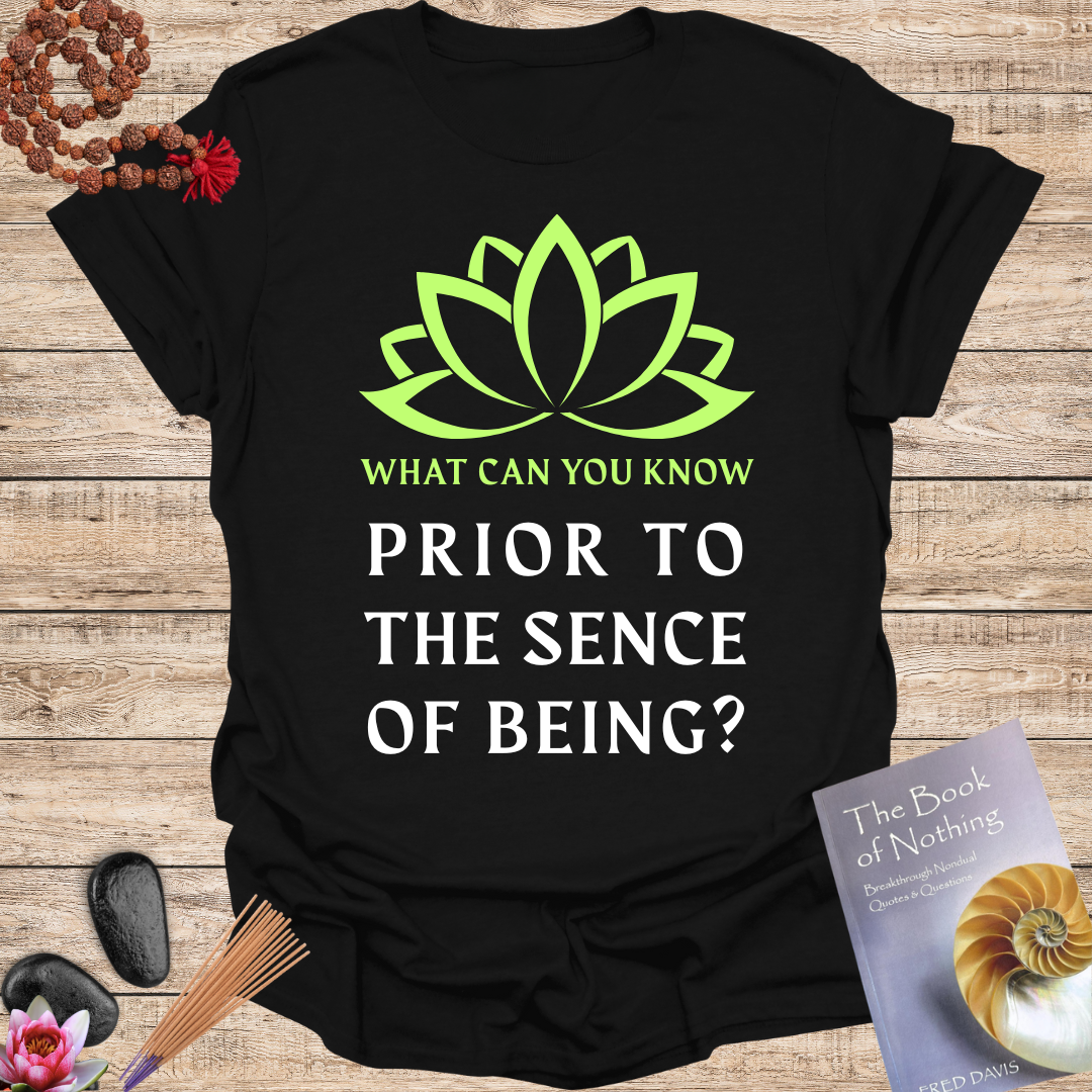 What Can You Know Prior to the Sence of Being?