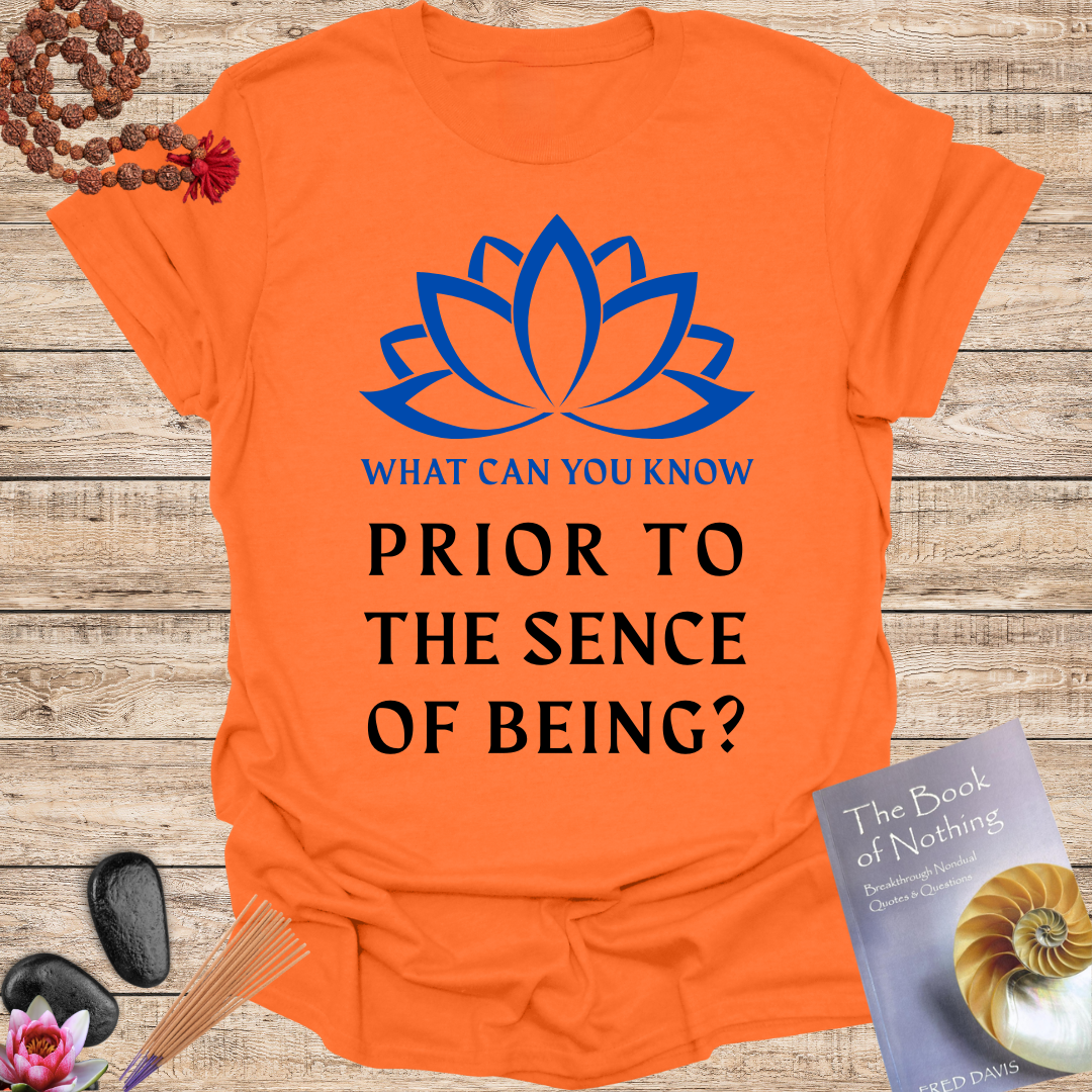 What Can You Know Prior to the Sence of Being?
